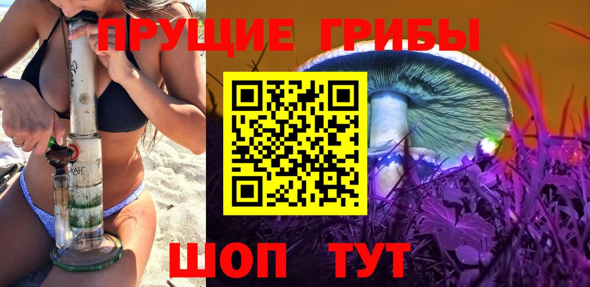 Псилоцибиновые грибы ЛСД Саратов