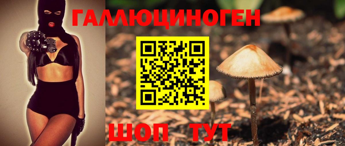 Саратов  даркнет сайт  Вход с VPN  Псилоцибиновые грибы Cubensis 
